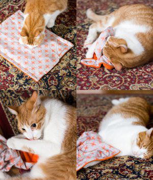 How to Make a Catnip Blanket