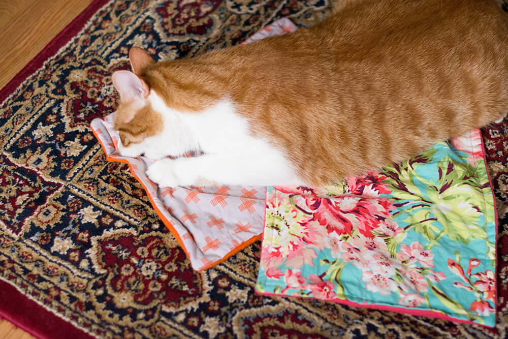 Catnip Blanket