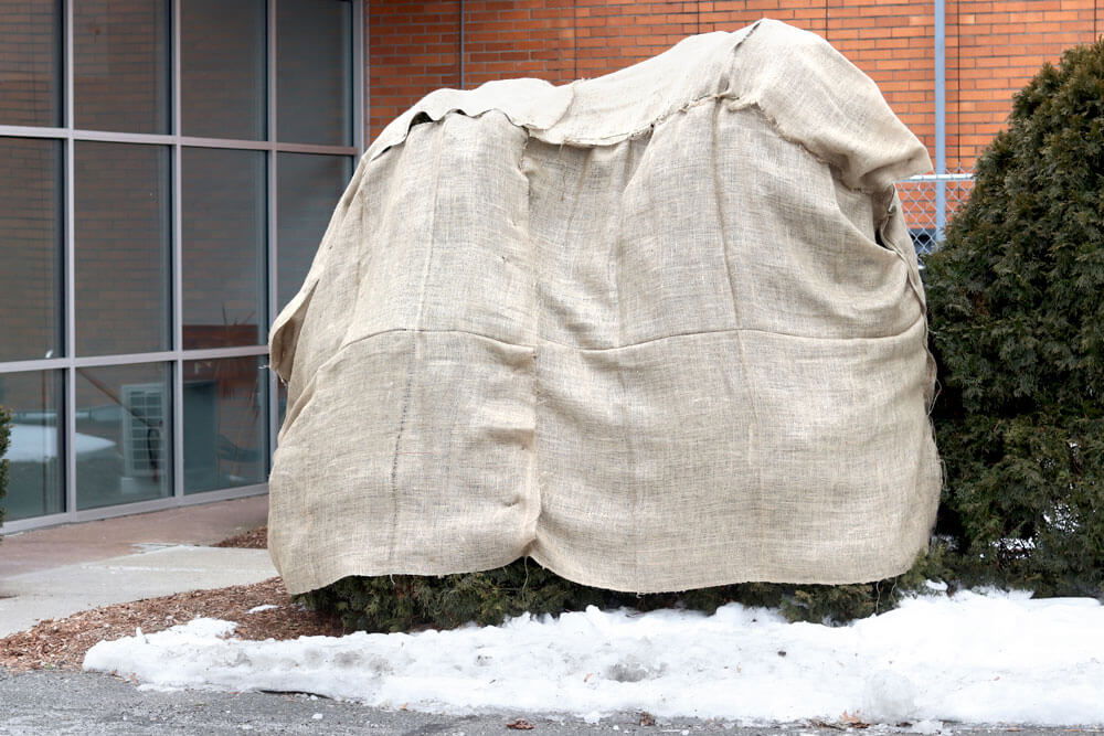 Burlap Tree Cover