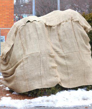 How to Make a Burlap Tree & Bush Cover