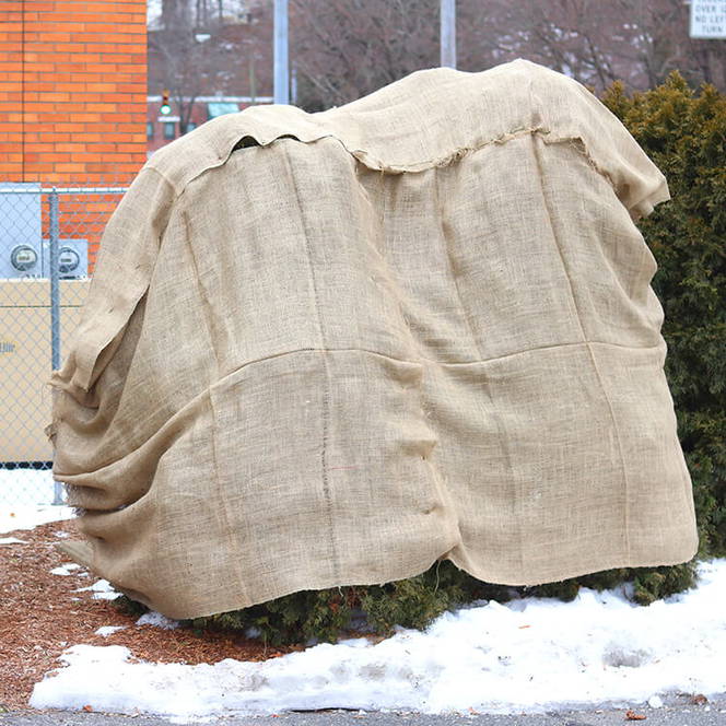 How to Make a Burlap Tree & Bush Cover