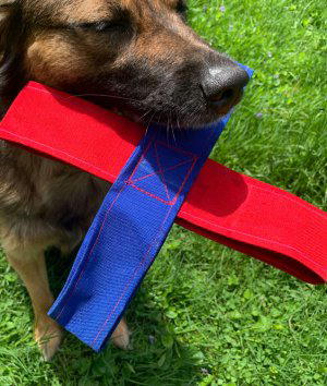 How to Make Heavy Duty Nylon Dog Toys