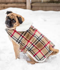 How to Make a Waterproof Dog Coat