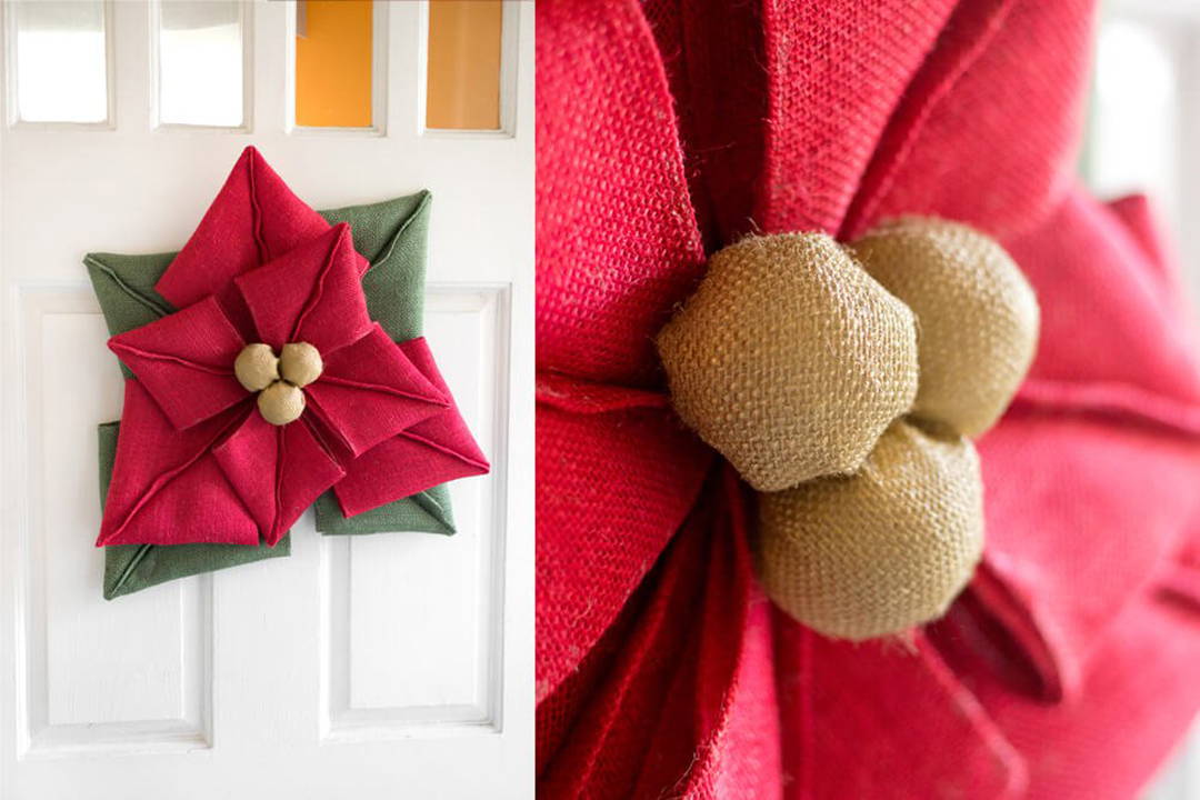poinsettia-2